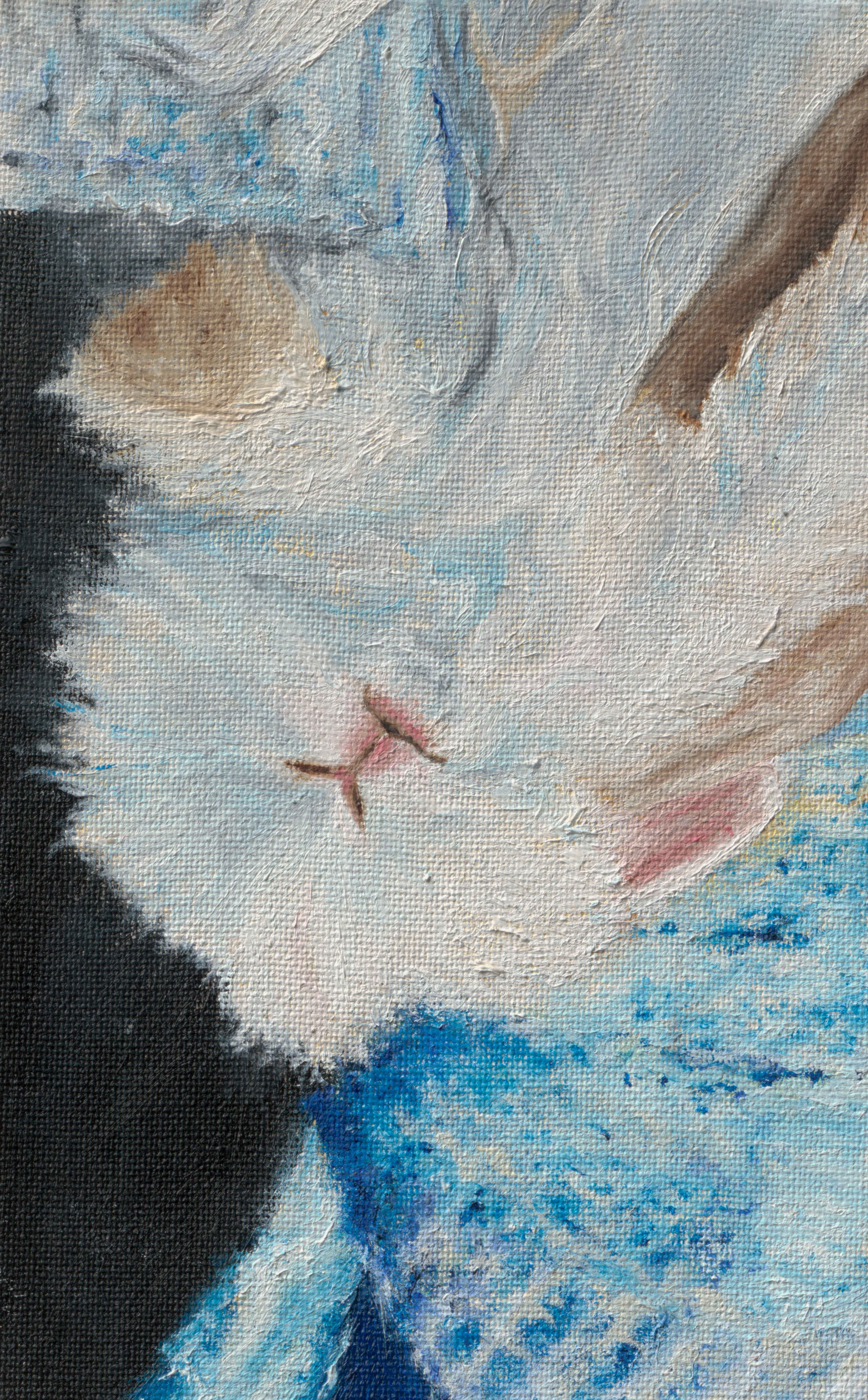 <b>Don Amor</b><br><br><br><br>olej na plátne, 15 x 20 cm